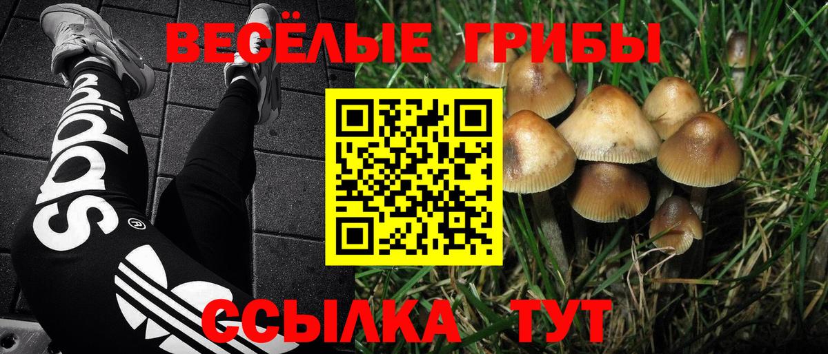 Галлюциногенные грибы мицелий  Вход с VPN  Ачхой-Мартан 